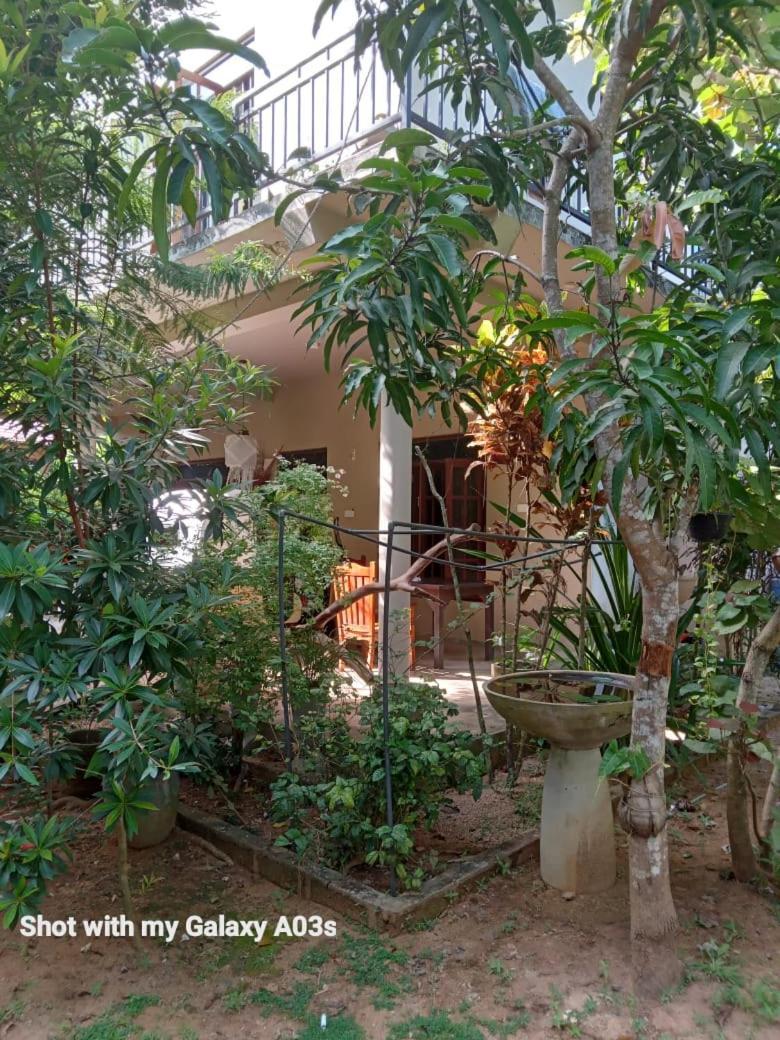 Bamboo Grove Villa Tangalle Eksteriør bilde